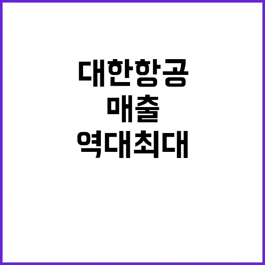 대한항공 역대 최대 매출…수익성 계획 무엇?