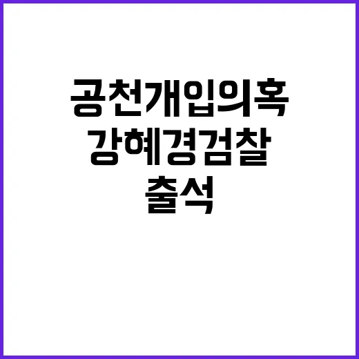 ‘공천 개입 의혹’ 강혜경 검찰 8번째 출석!