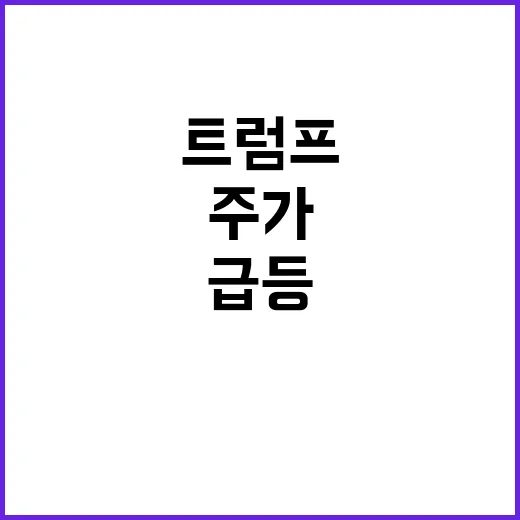 테슬라 주가 급등 …