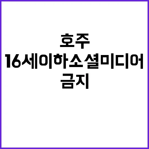 호주 16세 이하 …