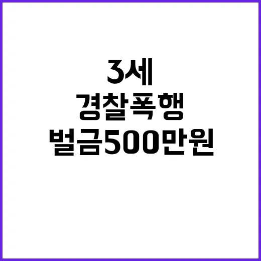 만취 빙그레 3세 경찰 폭행에 벌금 500만원!