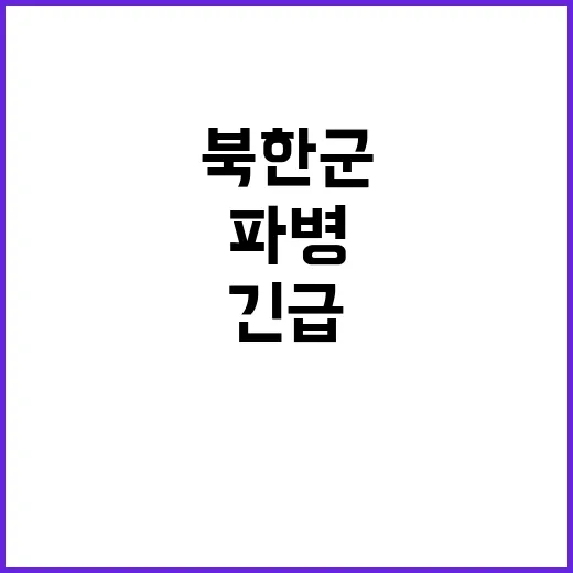 우크라 전쟁 북한군…