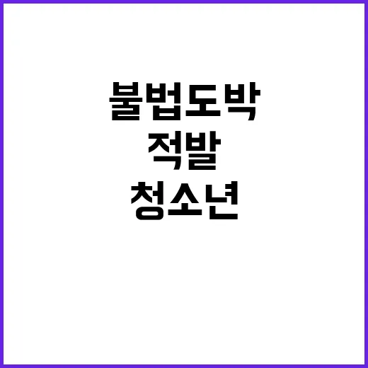 불법도박 청소년 170명 충북경찰의 대대적 적발!