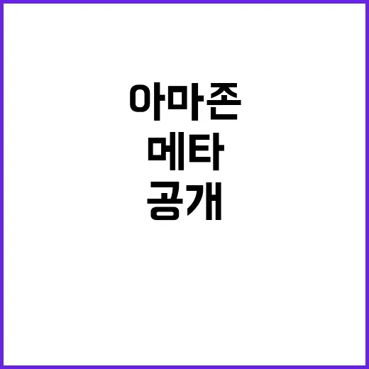 중립 메타·아마존 폭풍 피해 상황 공개!