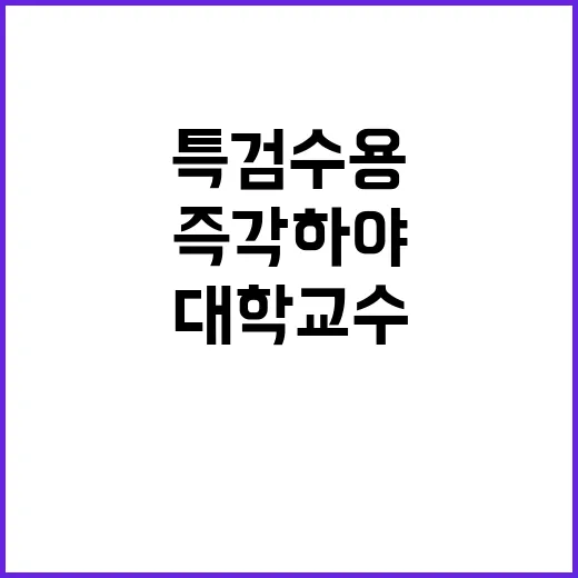 특검 수용 대학교수들의 즉각 하야 시국선언!