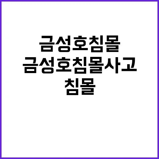 금성호 침몰사고 지…