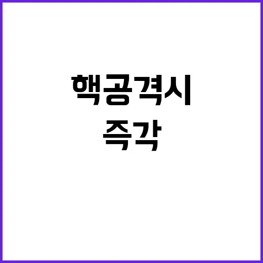 핵공격 시 한미동맹 즉각 대응 계획 공개!