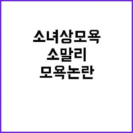 소녀상 모욕 논란 소말리 사과 요청 이유는?