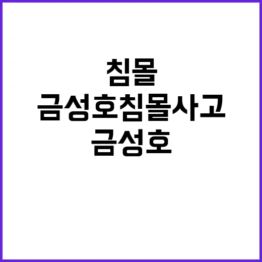 검찰 금성호 침몰사고 수사팀 구성과 투입 이야기!