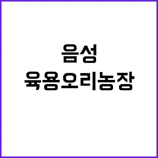 고병원성 AI 충북…