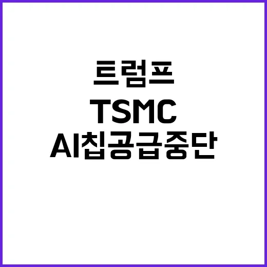 TSMC AI칩 공급 중단…트럼프와의 연결성은?