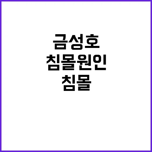 고등어 어획량 금성…