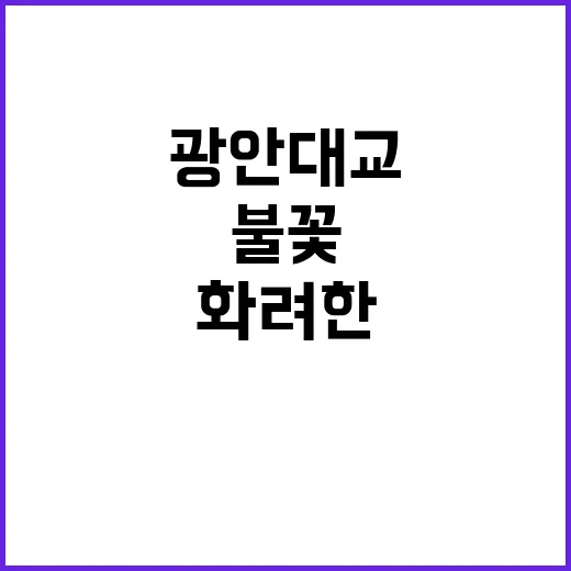 광안대교 화려한 불…