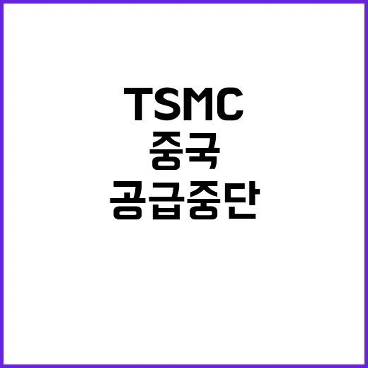 TSMC 미국 선택…중국 공급 중단의 이유!