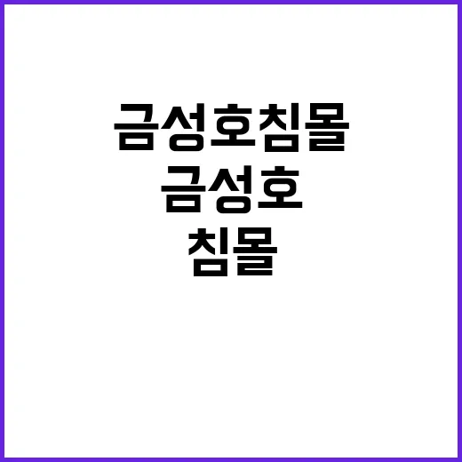 금성호 침몰 과다어…