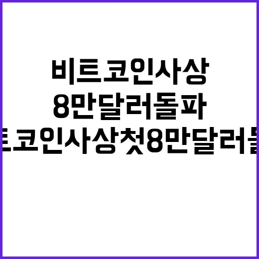 비트코인 사상 첫 8만 달러 돌파! 궁금하지 않나요?