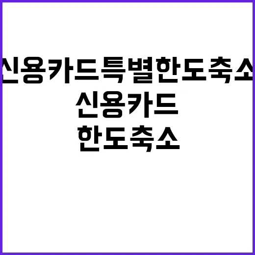 신용카드 특별한도 축소 소비자 충격 반응!