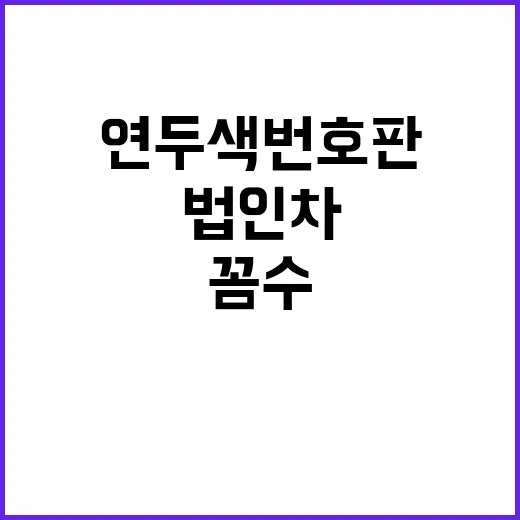 법인차 전수조사 연…