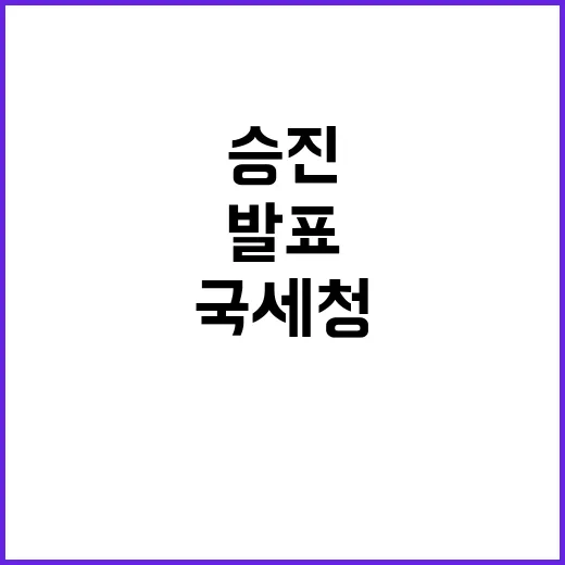 국세청 1599명 …