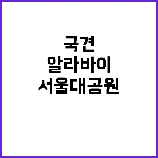 국견 알라바이 서울…