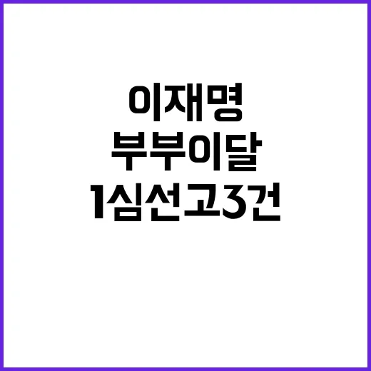 이재명 부부 이달 …