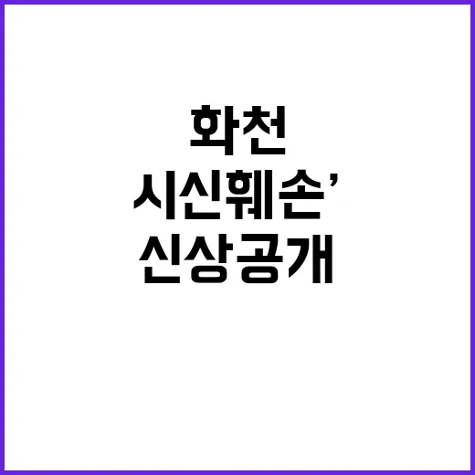 ‘화천 시신 훼손’…