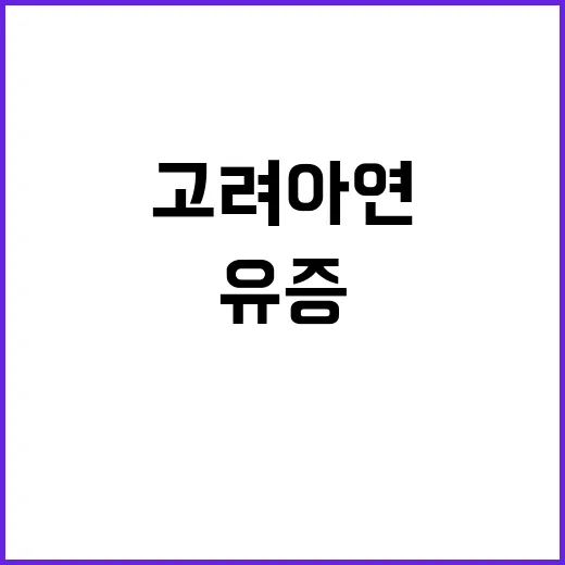 고민 MBK·영풍 고려아연 유증 악재로 위기 직면?