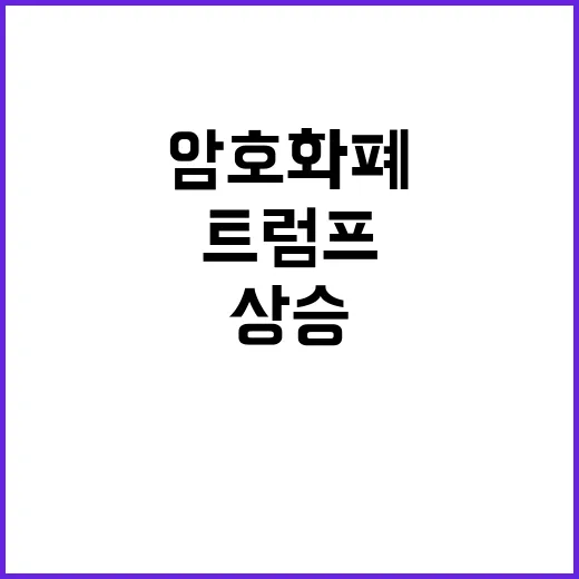 암호화폐 트럼프 덕…