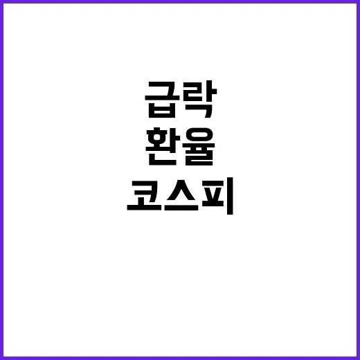 코스피 급락 환율과…