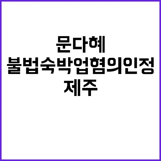 문다혜 제주 불법 숙박업 혐의 인정! 충격 진실