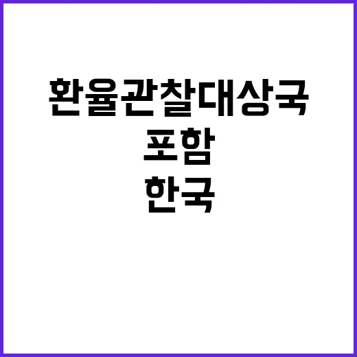 환율관찰대상국? 한국 포함 소식에 관심 집중!