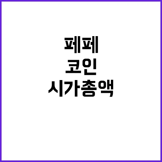 페페 밈코인 시가총…