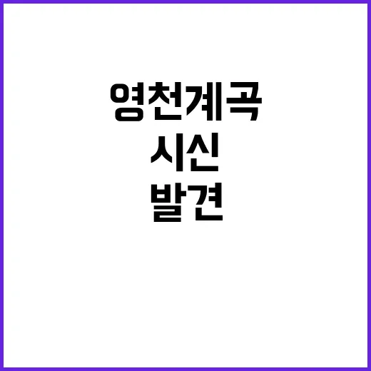 백골화 시신 영천 …