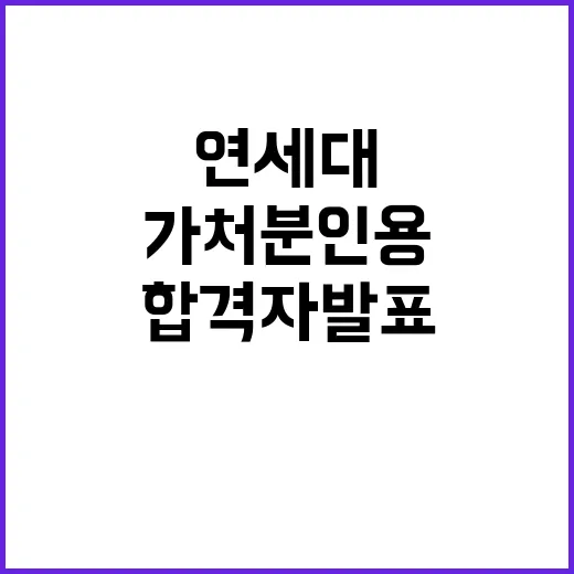 법원 연세대 합격자 발표 가처분 인용 충격!