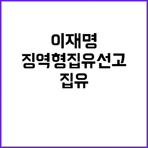 이재명 징역형 집유 선고 이유는 무엇인가?