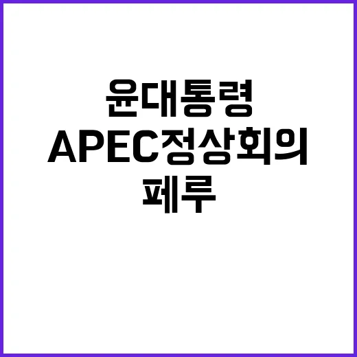 APEC 정상회의 윤 대통령 페루 리마 도착!