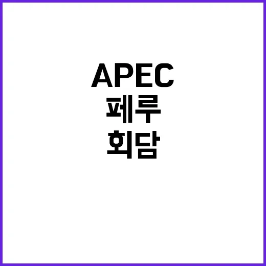 APEC 회의 윤 대통령 페루 방문과 한미일 회담!