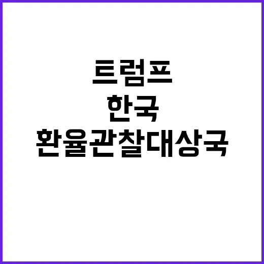 환율관찰 대상국 한국의 새로운 트럼프 시대가 온다!