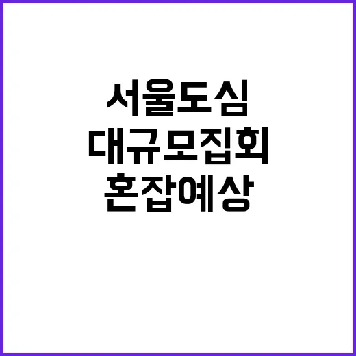 시위 서울 도심 곳곳 대규모 집회로 혼잡 예상