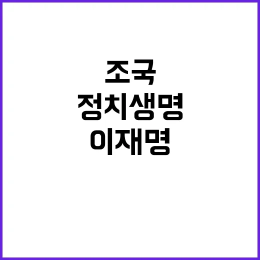 이재명 선고에 조국 정치생명 유지해야 한다!