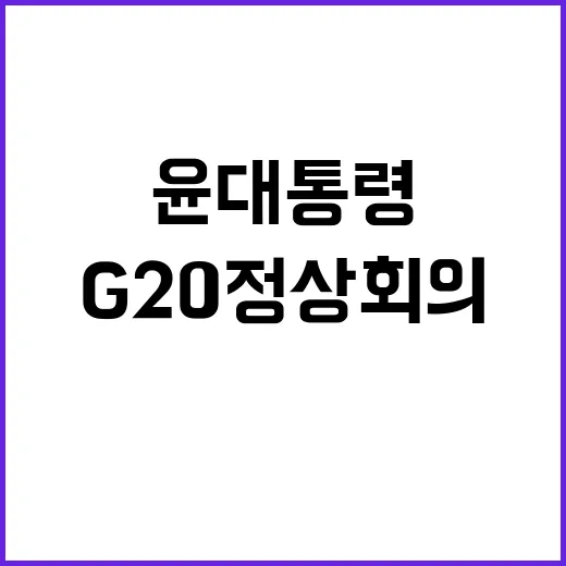 G20 정상회의 윤…