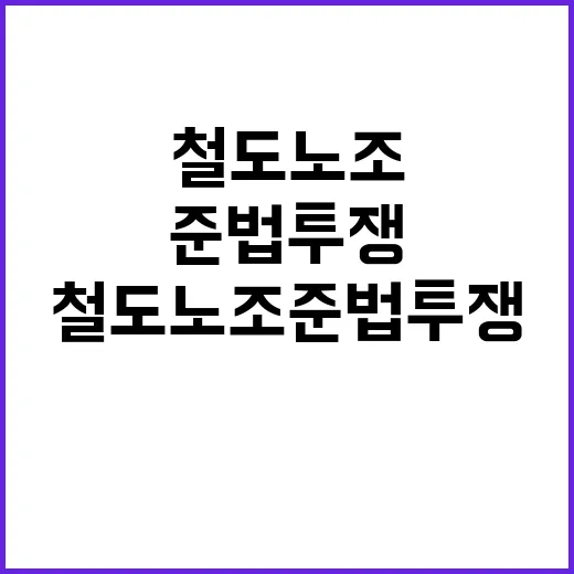 배춧값 급락! 이제 뭐할까? 놀라운 변화!