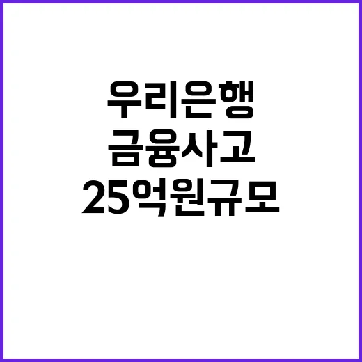 금융사고 우리은행 올해 네 번째 25억 원 규모!