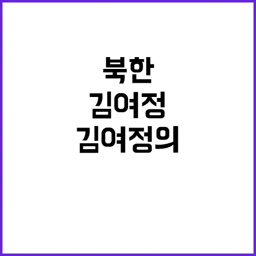 초코파이 김여정의 …