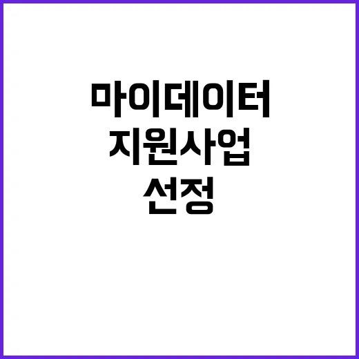 마이데이터 지원 사…