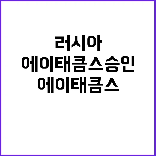 에이태큼스 승인은 …