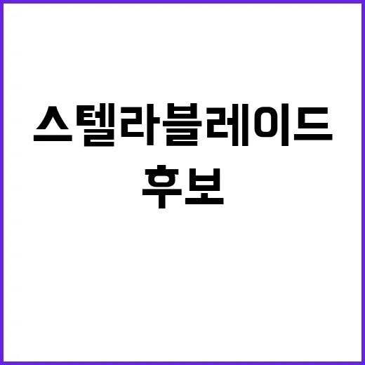 스텔라 블레이드 TGA 2개 부문 후보로 선정!