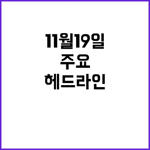 뉴스1번지 11월 19일 이시각 주요 헤드라인 공개!