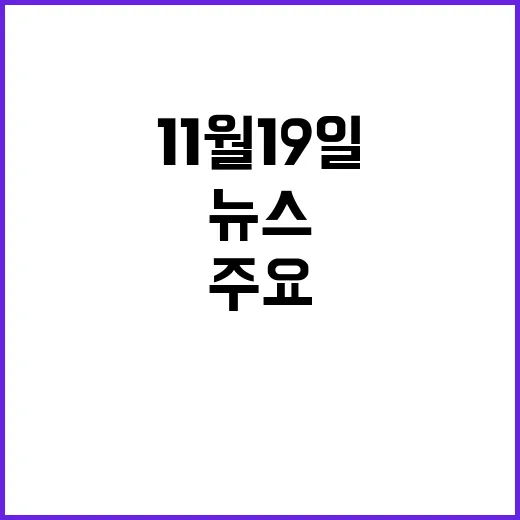 뉴스리뷰 11월 19일 주요 사건과 이슈 정리!