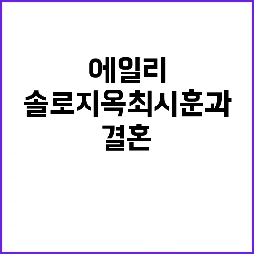 에일리 결혼 솔로지…